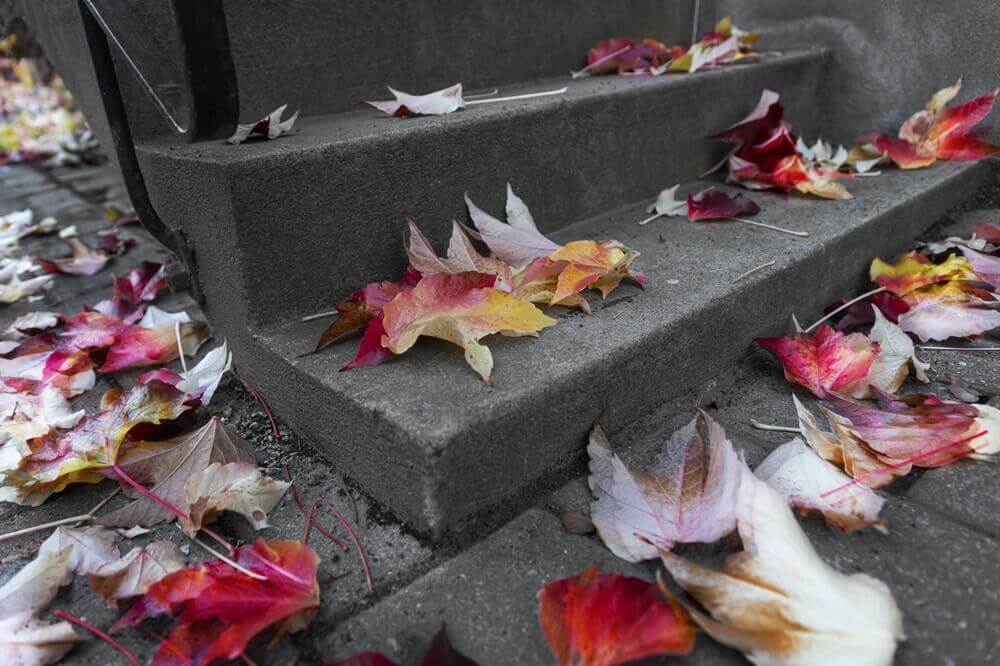 leaves on concrete patio stairs